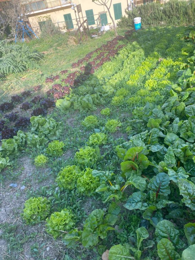Agriturismo A Ca Du Cappellan Villa Imperia Eksteriør billede